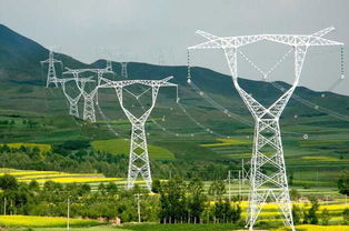 承裝修試電力施工許可證及電監(jiān)會資質(zhì)代辦服務(wù)詳解