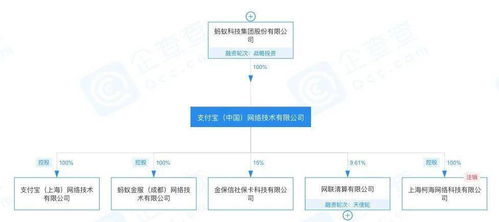 高管更迭背后的戰(zhàn)略調(diào)整 螞蟻集團原CEO退出多家公司法人引發(fā)的思考