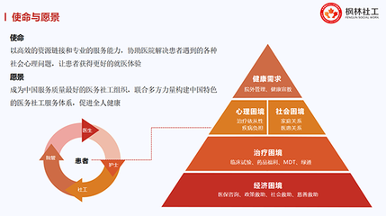 健全重特大疾病保障網，賦能醫務社工與咨詢服務業發展